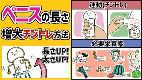 ちんこ 大きくなる食べ物|ちんこを大きくする食べ物8選。ペニス増大できる食。